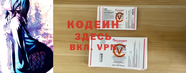 индика Дмитров