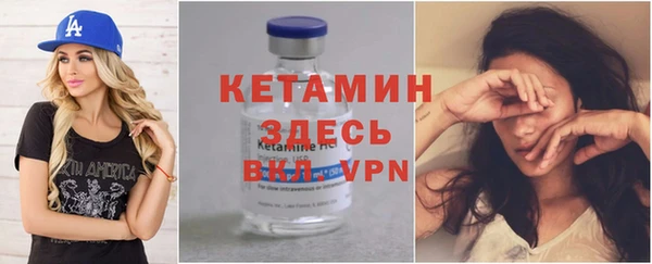 индика Дмитров