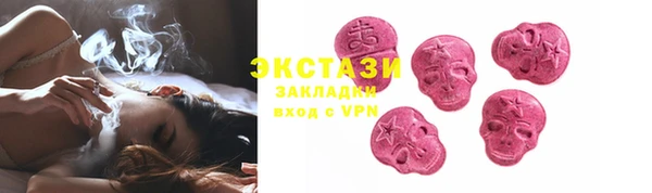 индика Дмитров