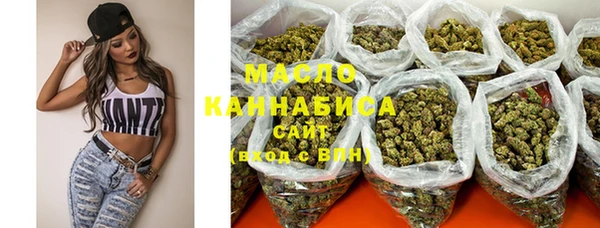 индика Дмитров