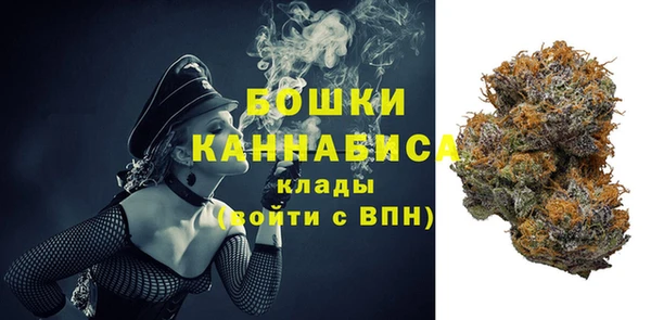 индика Дмитров