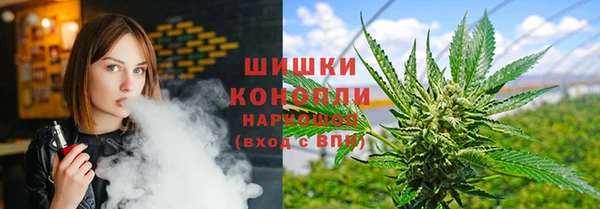 индика Дмитров